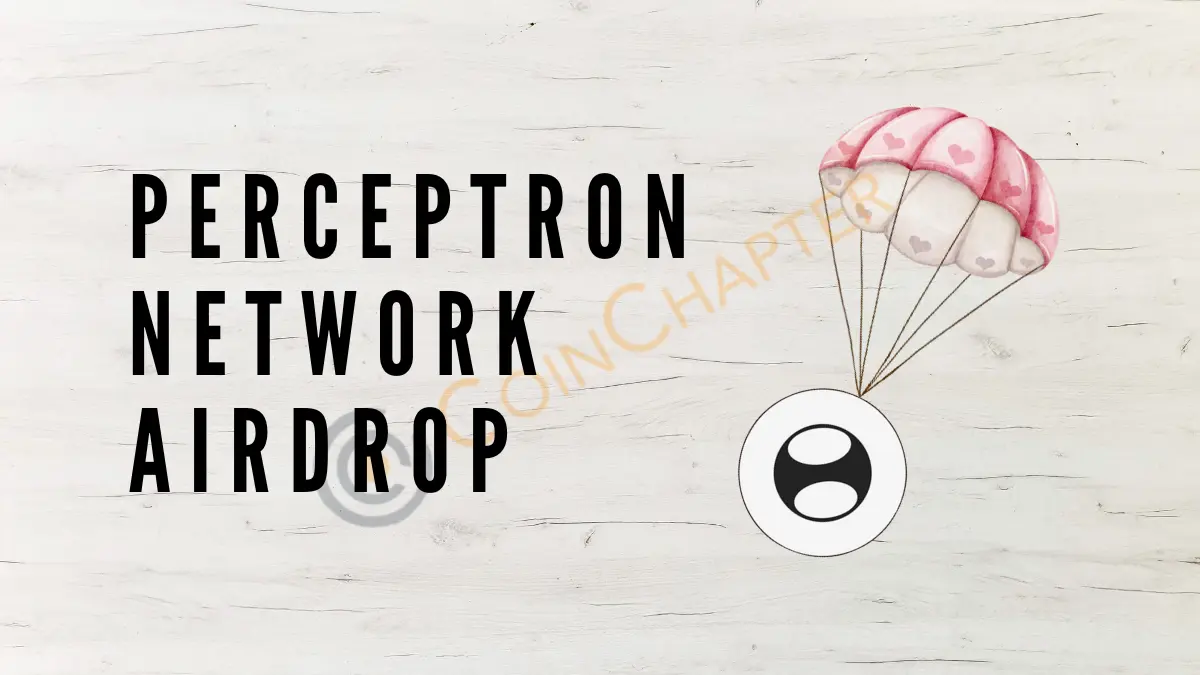 Perceptron Network Airdrop