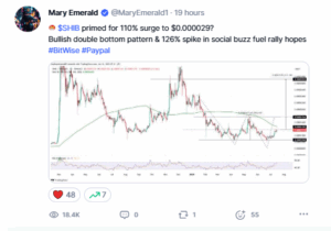 SHIB Analyst Predicts 110% Rally to $0.000029