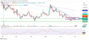 SHIB/USD 1-Day Price Chart. Source: TradingView
