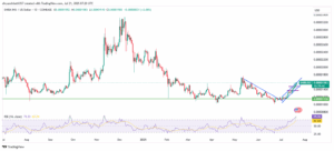 SHIB/USD 1-Day Price Chart.