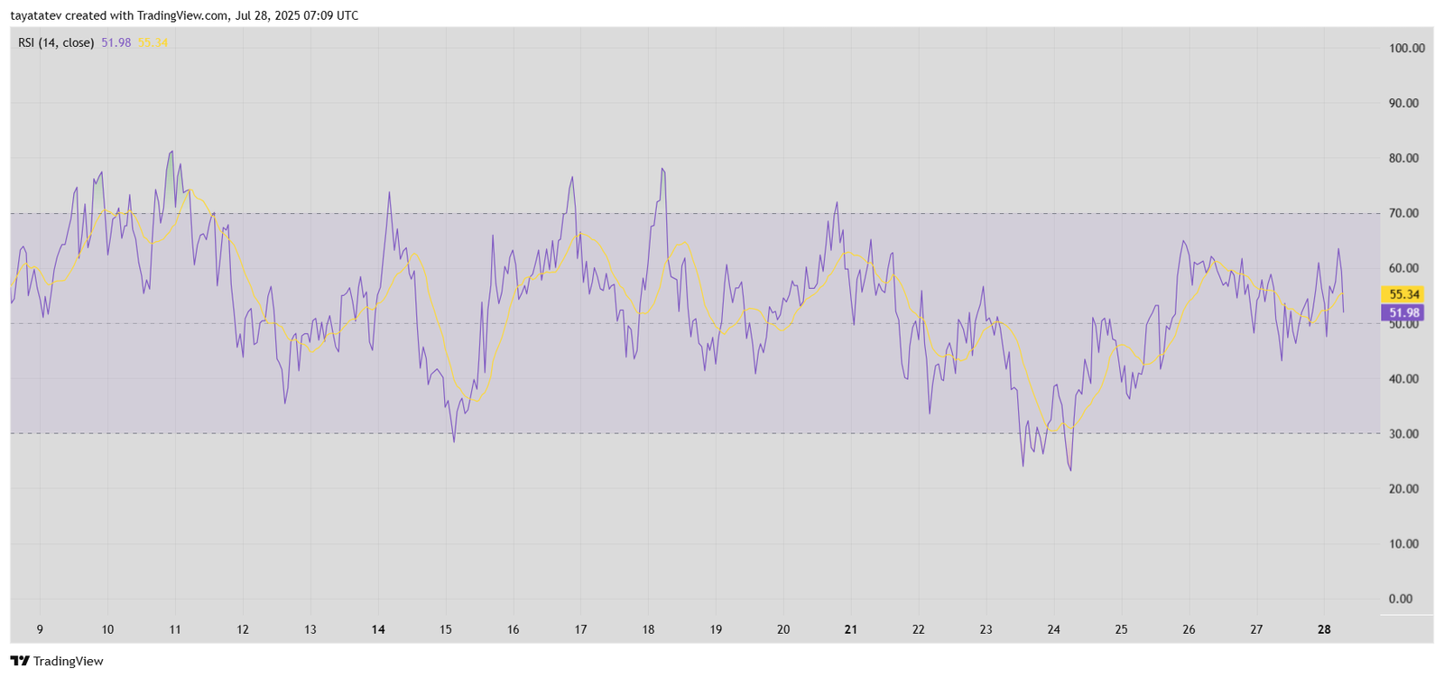 SHIB/USD RSI (Relative Strength Index) AnalysisSource: TradingView