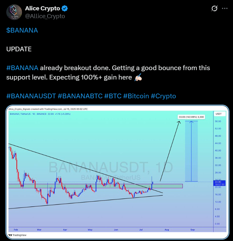 BANANA price analysis