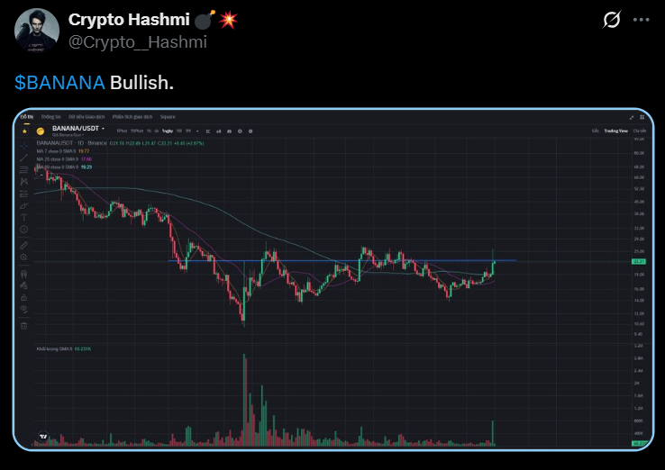 BANANA price analysis