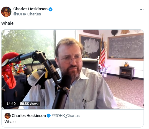  Charles Hoskinson Addresses WhaleSource: X (@IOHK_Charles)
