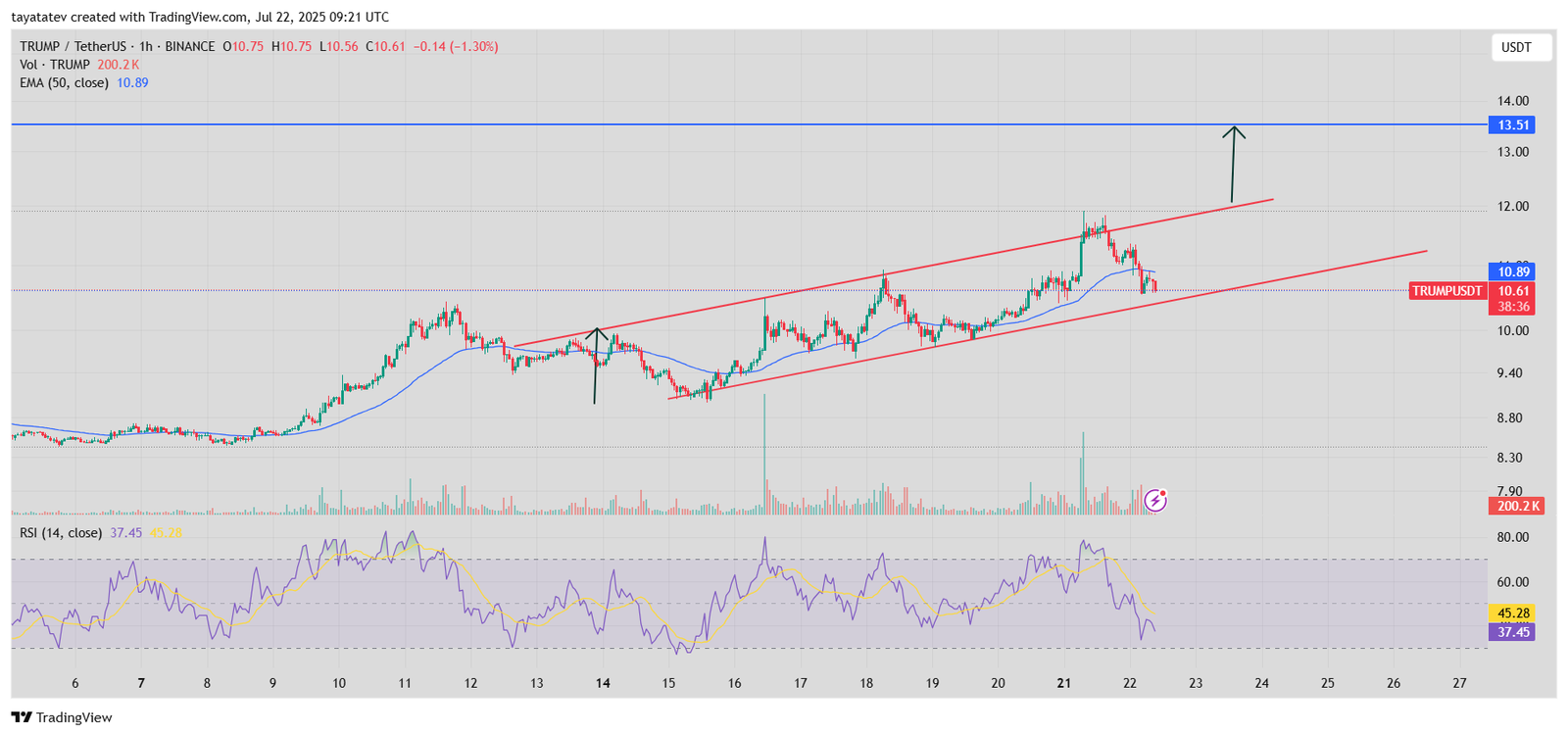 TRUMP/USDT 1-Hour ChartSource: TradingView