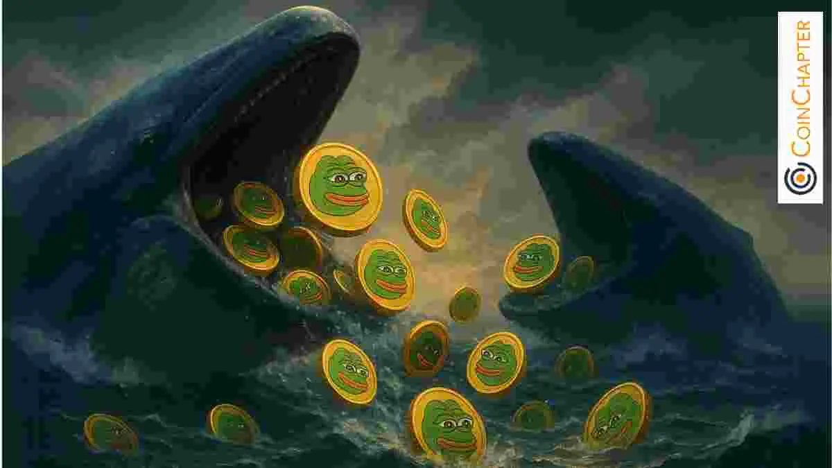 Whale Activity Surges Behind PEPE’s 8 Daily Gain — What Are Large Holders Betting On?
