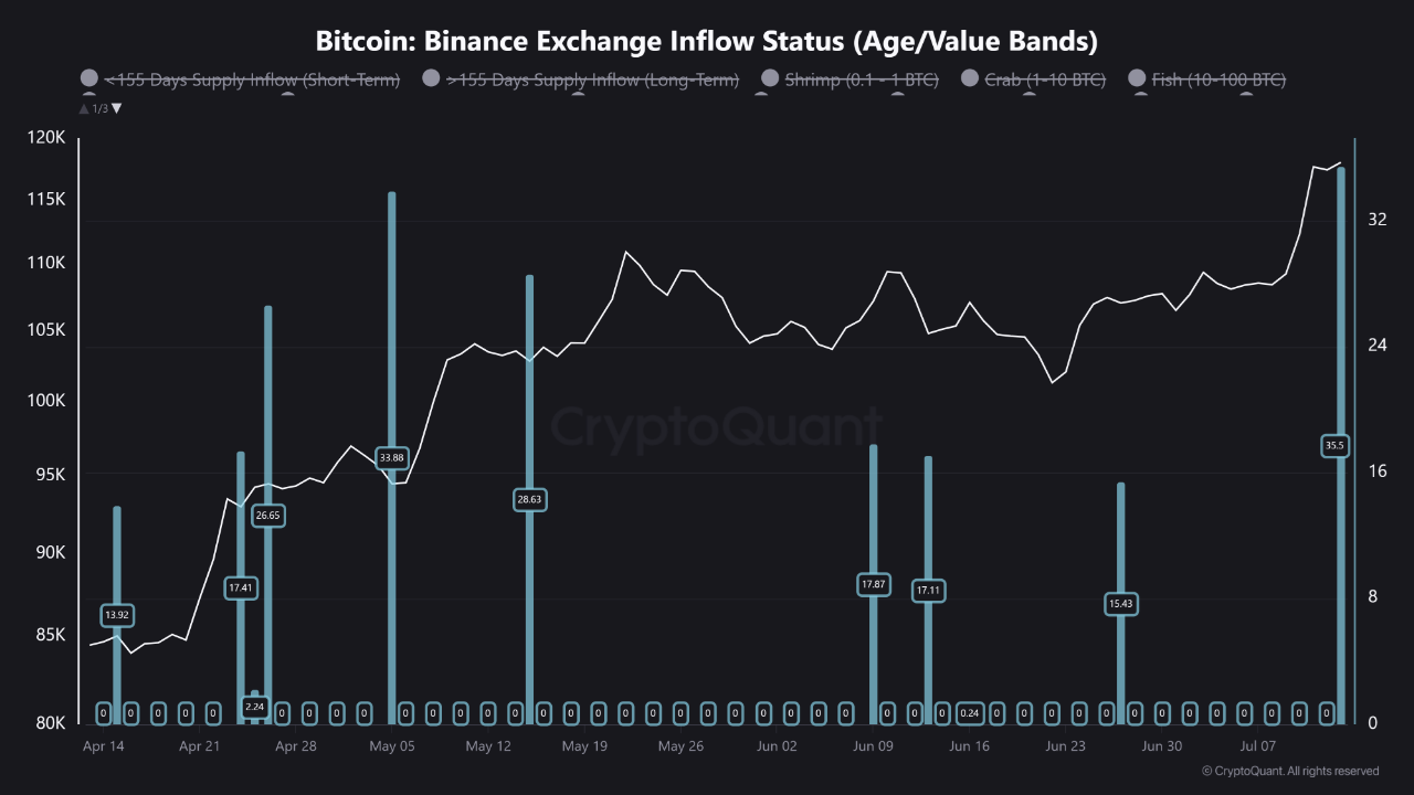 Binance Bitcoin Exchange Inflow Status by Age/Value BandsSource: CryptoQuant