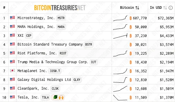 Top 10 Public Companies by Bitcoin Holdings.Source: BitcoinTreasuries.net.