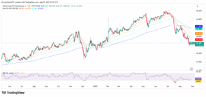 Bitcoin Dominance Chart