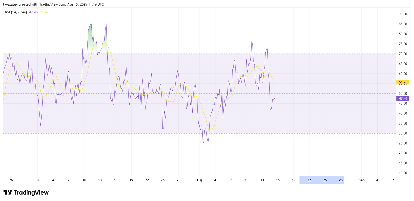 Bitcoin RSI Analysis. Source: TradingView