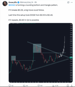 Analyst Puts $0.80 Target on the Line if $0.29 Breaks