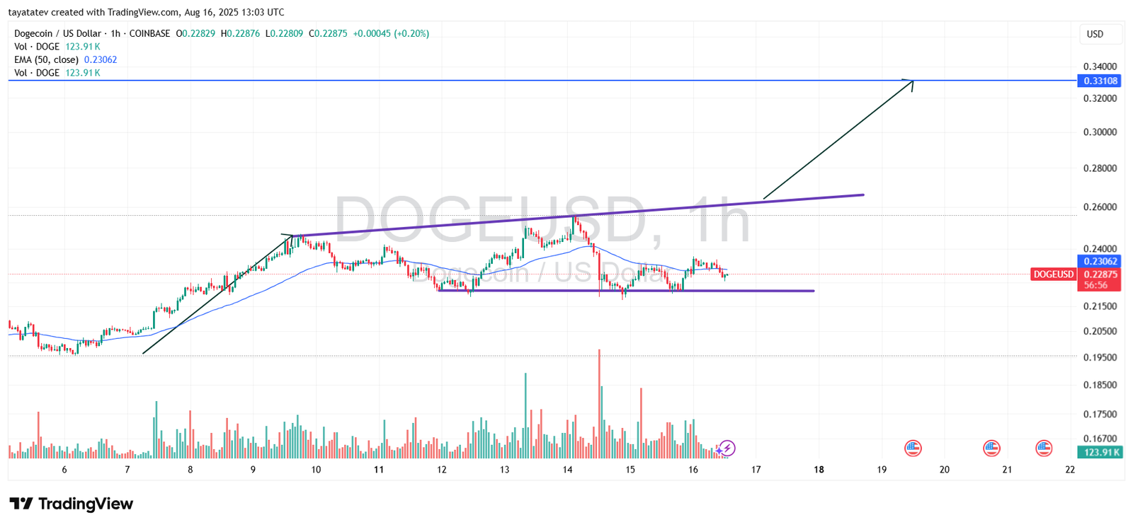 Dogecoin (DOGE) / US Dollar 1-Hour ChartSource: TradingView