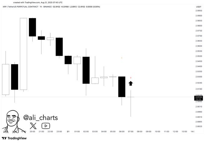 XRP / TetherUS Perpetual Contract (1h)Source: TradingView (@ali_charts)