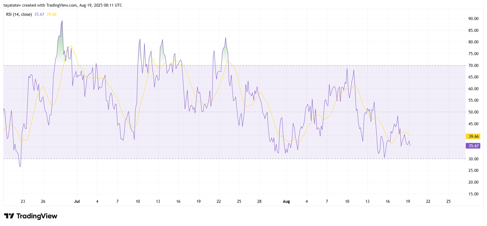PENGUUSDT RSI Momentum Chart. Source: TradingView