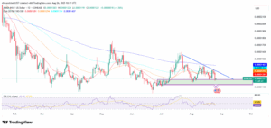 SHIB/USD 1-Day Price Chart