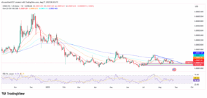 SHIB/USD 1-Day Price Chart