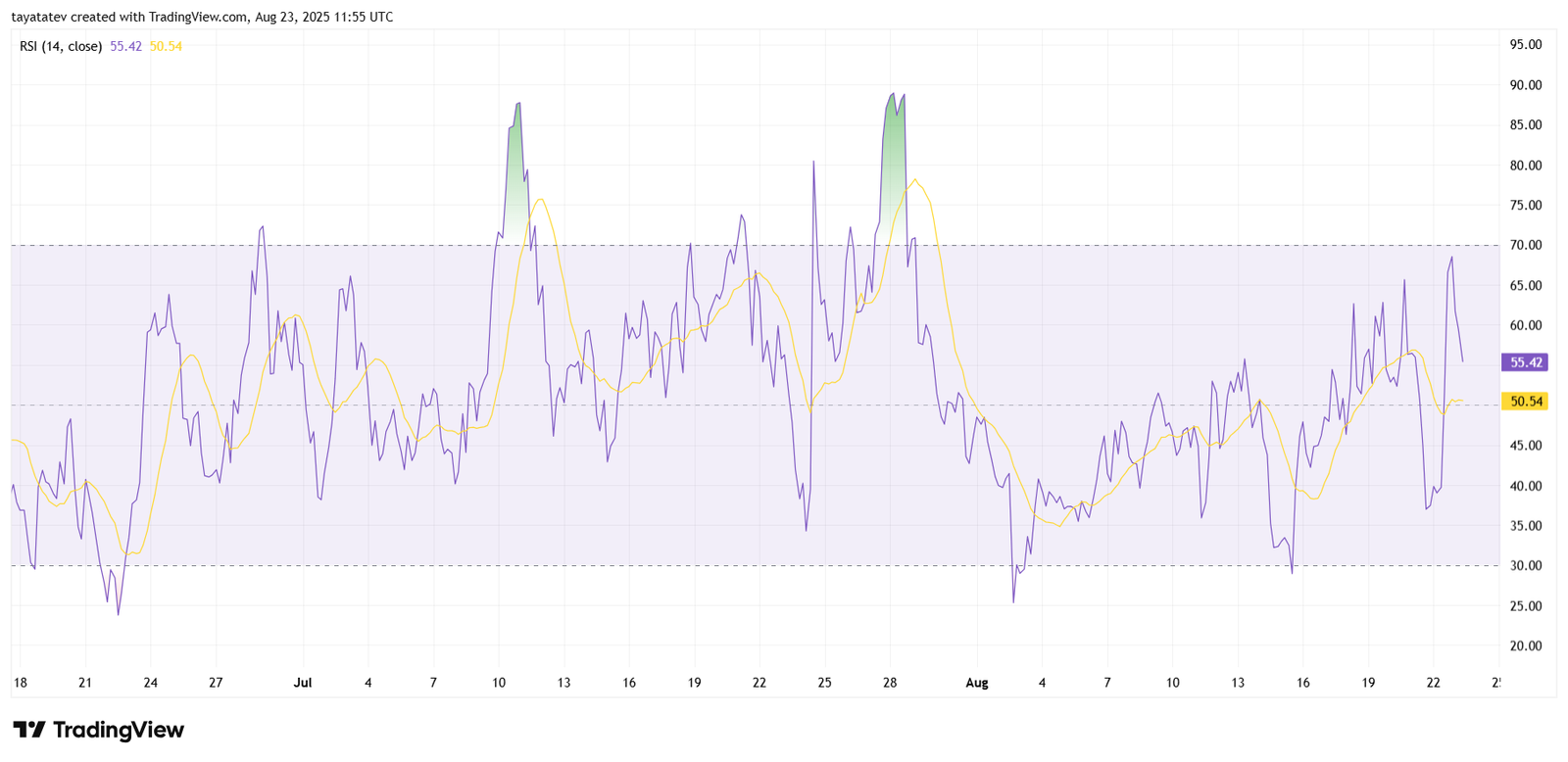 Vine Coin (VINE/USDT), 4h RSISource: TradingView