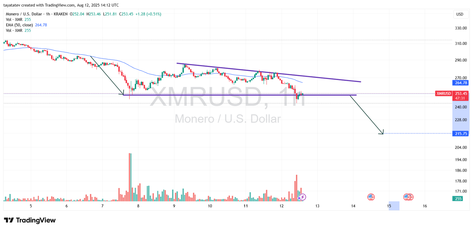 Monero (XMR) Descending Triangle Pattern – 1H TimeframeSource: TradingView