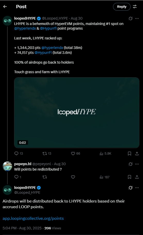 Source: LoopedHYPE X