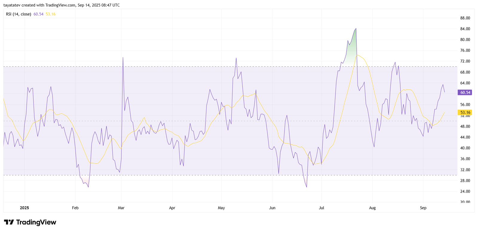 ADAUSD RSI 1D. Source: TradingView
