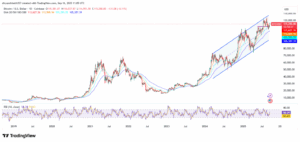 BTC/USD 1-Day Price Chart