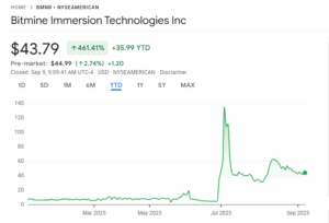 Bitmine YTD Stock Price Chart