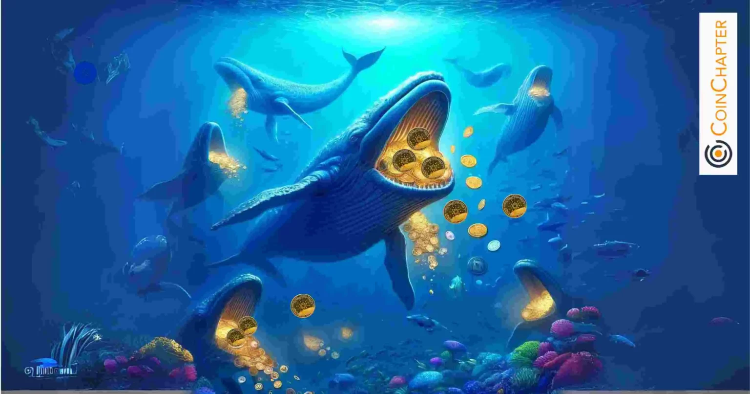 Cardano Sees Whale Accumulation as Analysts Set $3 Target for ADA