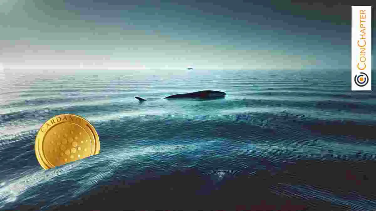 Cardano Whales Sell 160M ADA — Can Bulls Defend $0.80 Support?