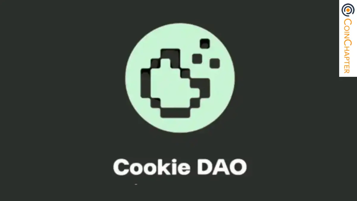 Cookie DAO airdrop