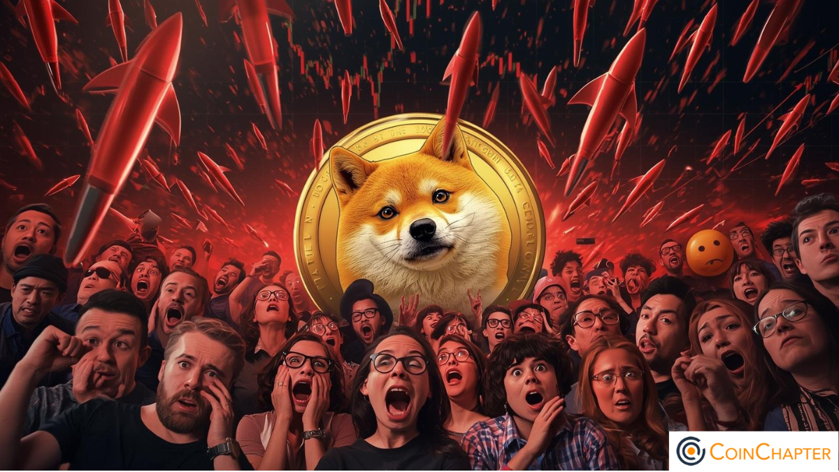 Dogecoin price crash concept