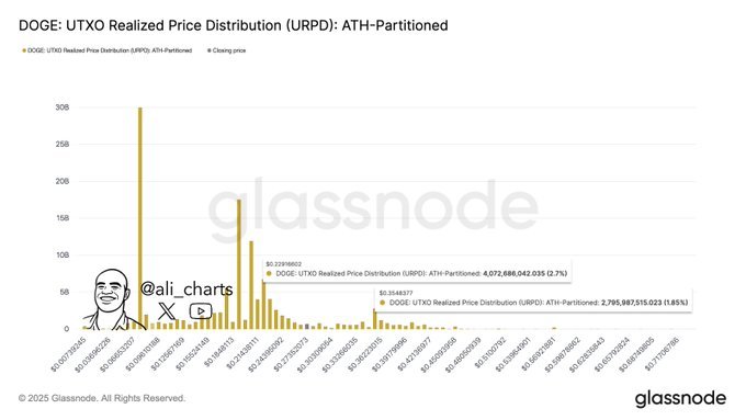 DOGE URPD Realized Price Distribution. Source: Glassnode