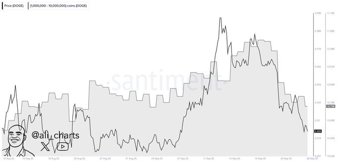Price DOGE and 1,000,000 to 10,000,000 coins cohortSource: Santiment via Ali on X (@ali_charts)