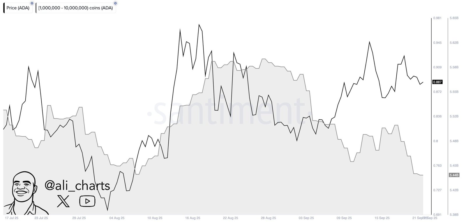 Whale Distribution Chart. Source: Santiment via Ali on X