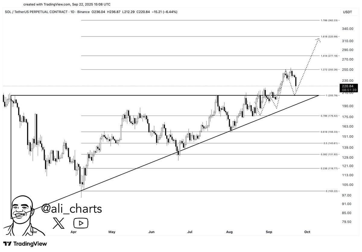 Solana Daily Fibonacci Extensions. Source: Ali Martinez on X, TradingView