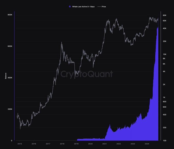 XRP Whale Activity 0–1 Days. Source: CryptoQuant via Dominus (X)