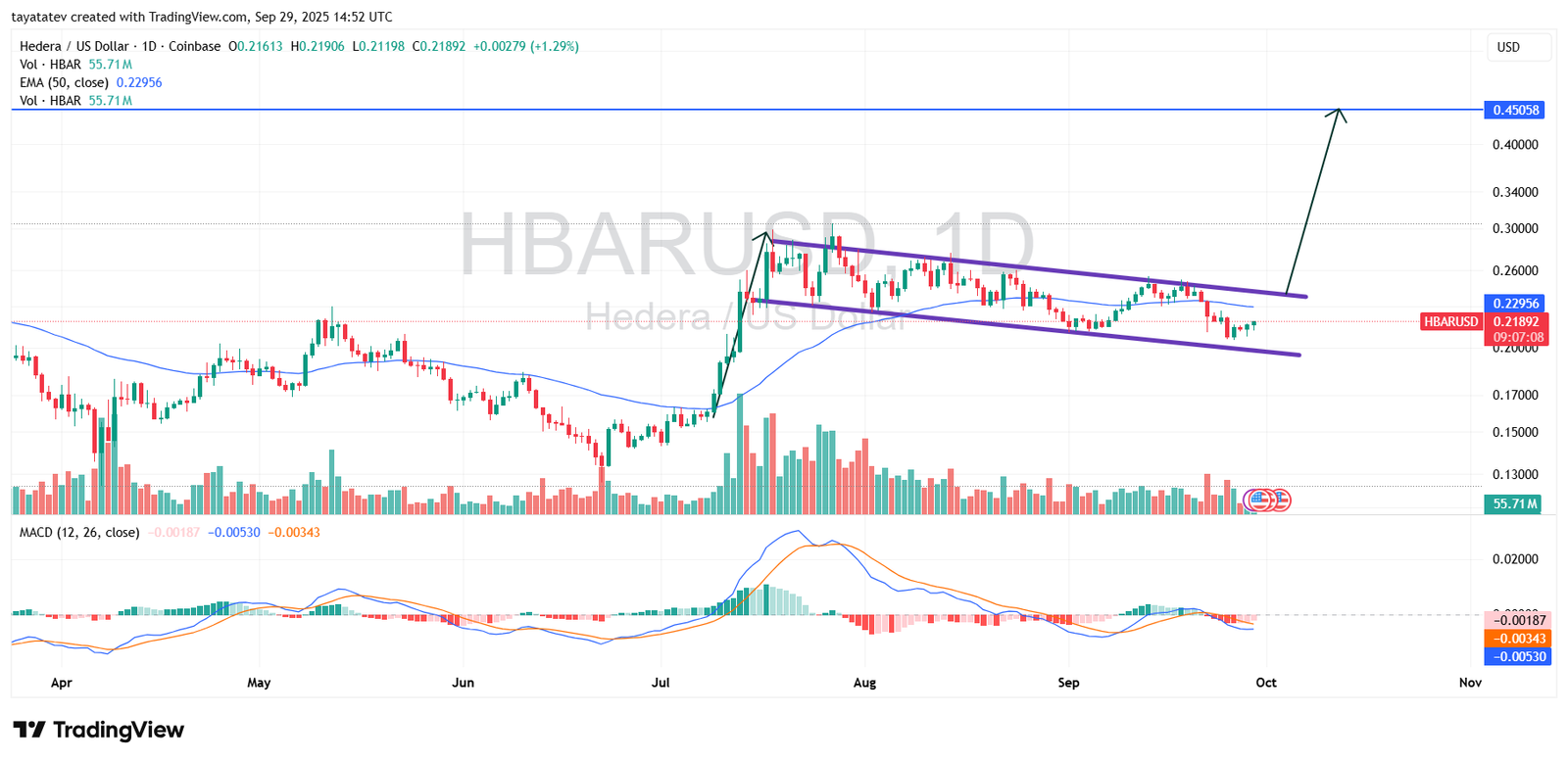 HBARUSD Daily Bullish Flag. Source: TradingView