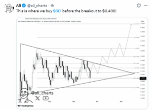 Analyst Targets $0.50 Breakout for SEI