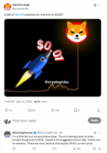 Social Media Hype Pushes $0.01 Narrative