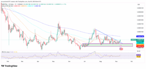 SHIB/USD 1-Day Price Chart