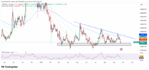 SHIB/USD 1-Day Price Chart