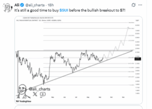 SUI Traders Predict $7 Breakout