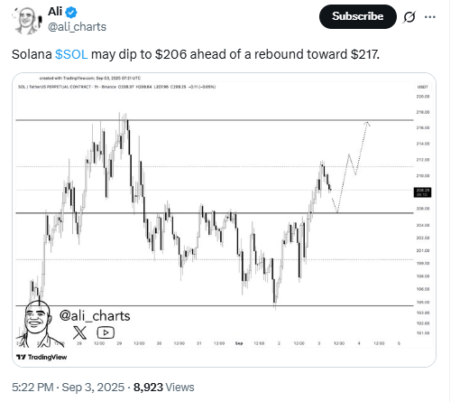 SOL/USDT Perpetual Contract 2h Chart (Support at $206, Resistance at $217)Source: TradingView (@ali_charts on X)