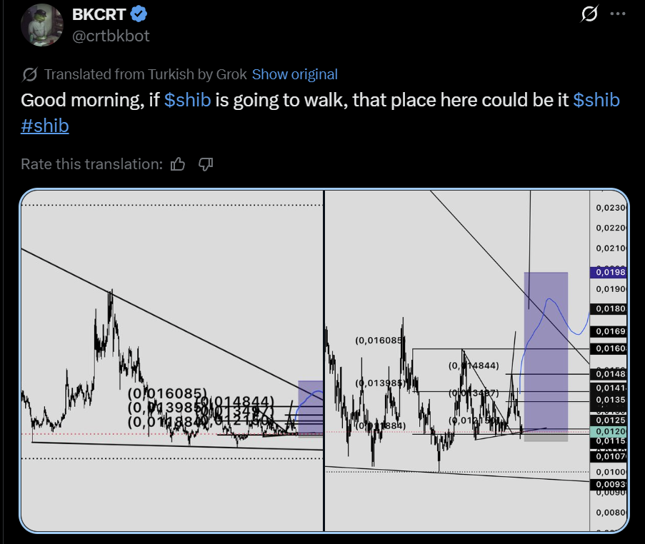 SHIB Shiba Inu price prediction analysis
