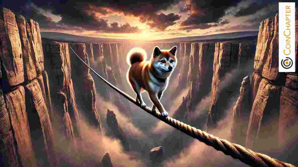 Shiba Inu (SHIB) Could Jump 150% After Divergence Signal, Analyst Says