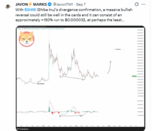 Analyst projects Shiba Inu could rally 150%