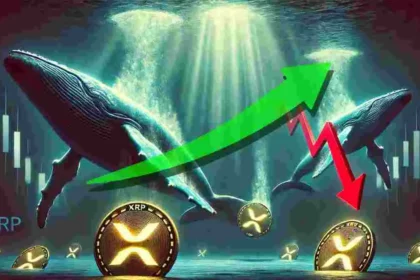 XRP Whales Trim Holdings, Yet Analysts Remain Bullish