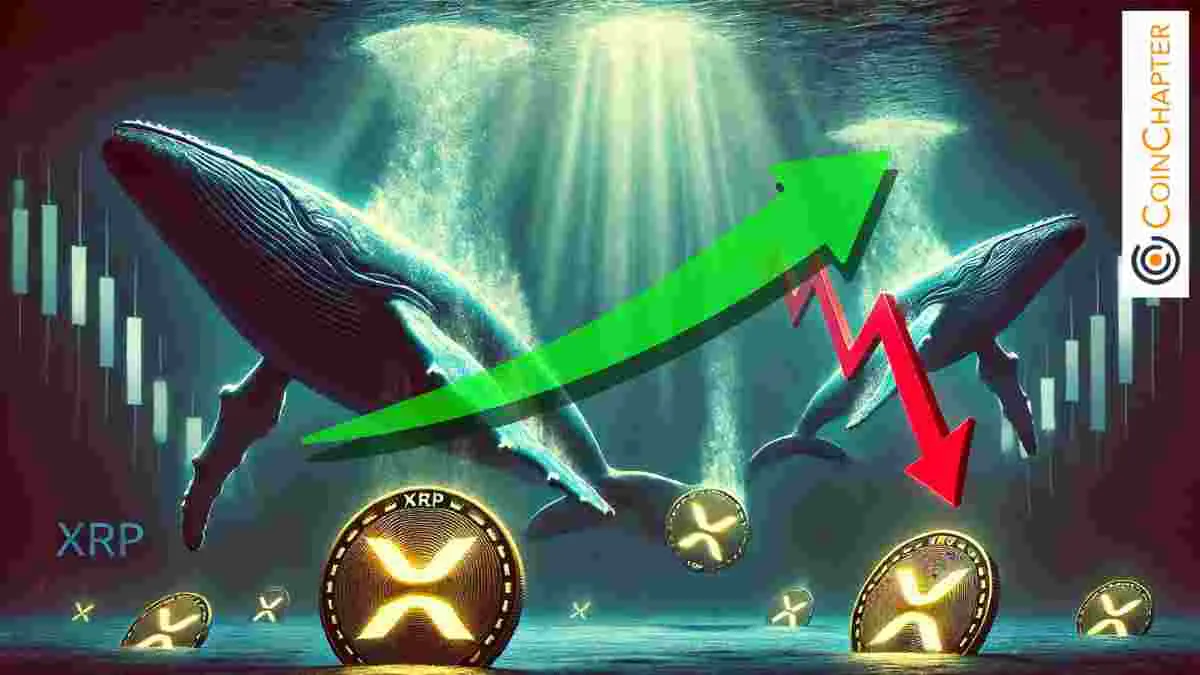 XRP Whales Trim Holdings, Yet Analysts Remain Bullish