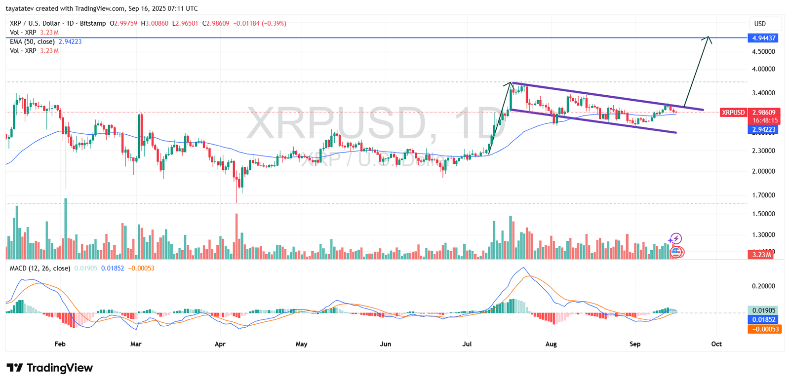 XRPUSD Daily Bullish Flag. Source: TradingView Bitstamp
