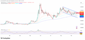 ZBCN/USD 1-Day Price Chart