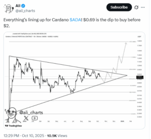 Analyst Sees $0.69 as a Key Buy Zone